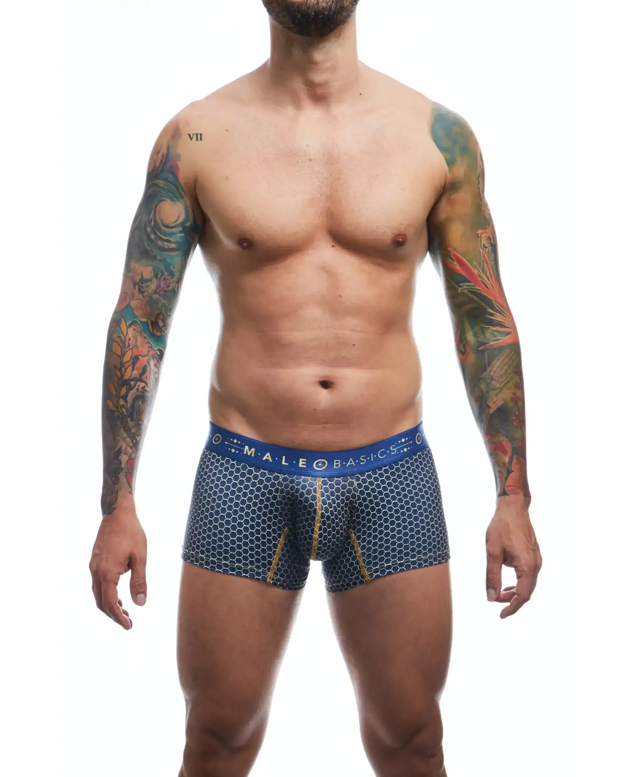 Male Basics Hipster Trunk Andalucia 